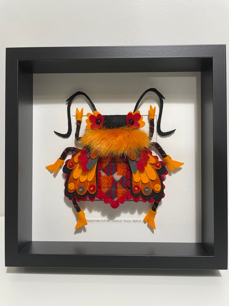 Image of Tangerine-tufted Tunnock Train Beetle 