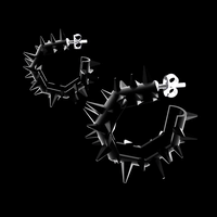 Image 1 of Cholla