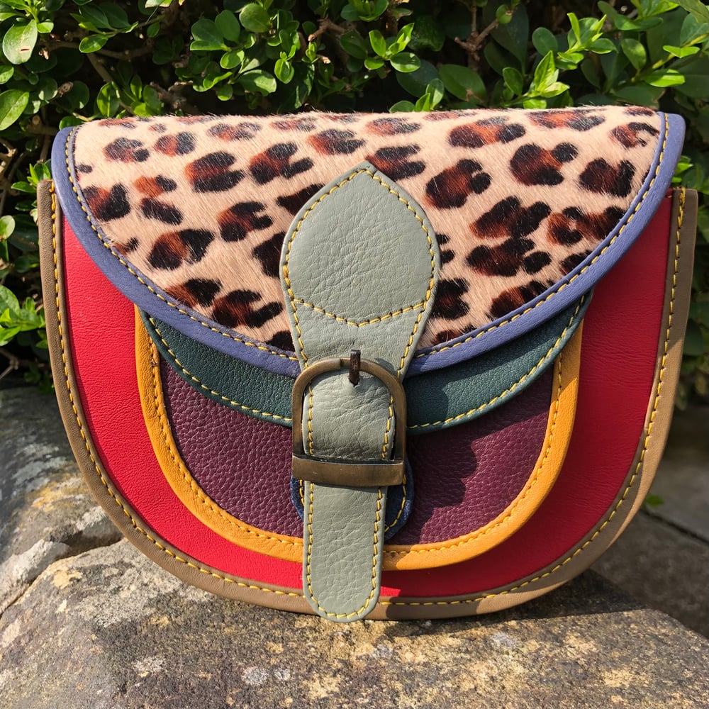 Image of Harlequin Collection - Multicoloured Baby Saddle #36C