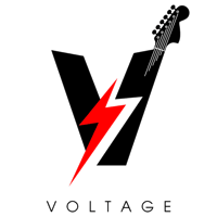 Image 1 of First Gig Danville - Voltage