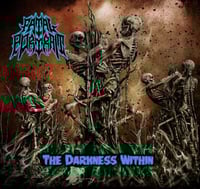 Image 1 of Fatal Portrait The Darkness Within Vinyl Record