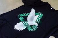 Image 2 of Palestine Dove