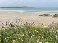 Image 7 of 'Godrevy Cove'