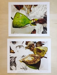 Image 17 of SMALL PRINTS FROM THE COLLECTION ON SALE