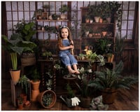 Image 2 of GREENHOUSE MINI SESSIONS {DEPOSIT ONLY }