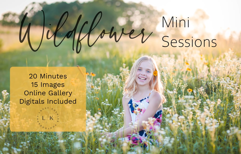 Image of WILDFLOWER Mini Session