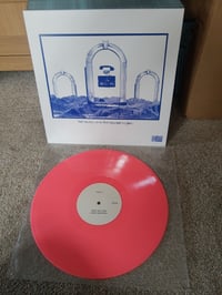 Image 2 of Dead Sea Apes / The Band Whose Name Is A Symbol - Pantheon of Fuckery (Hot Pink 100 Repress) 14 LEFT