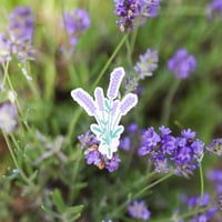 Image 2 of Lavender Bunch Sticker