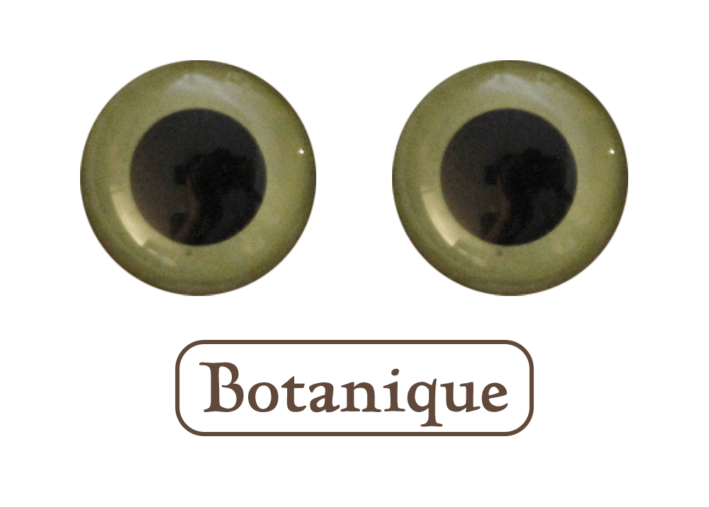 Image of Animal eyes