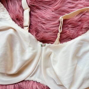 Image of Size 40F/38G - Vintage Olga Rosette Bra 