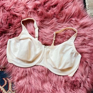 Image of Size 40F/38G - Vintage Olga Rosette Bra 