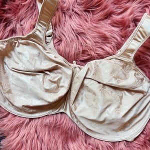 Image of Size 40F/38G - Bali Beige Bra