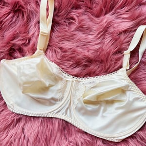 Image of Size 40DD/38D - Bali Beige Bra