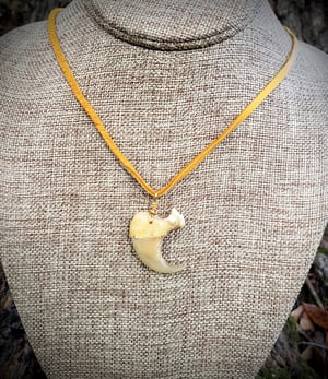 Image of Cougar or Mountain Lion Claw Necklace