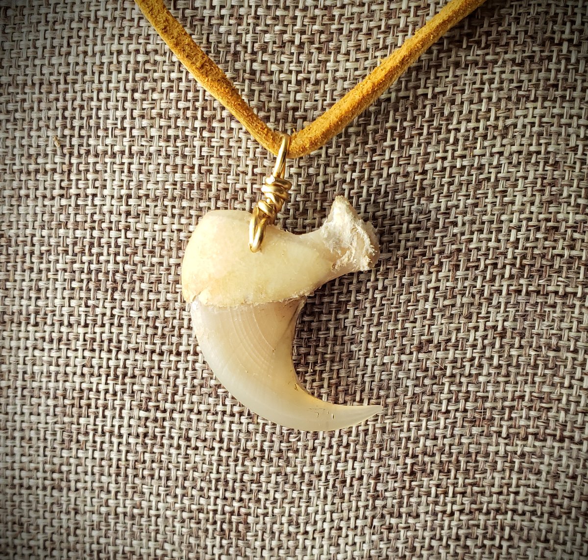 Image of Cougar or Mountain Lion Claw Necklace