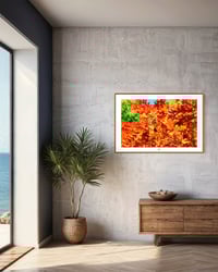 Image 4 of MARC'S RED MAPLE (18X24)
