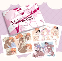  ✦ Malvaceae [R18] ✦