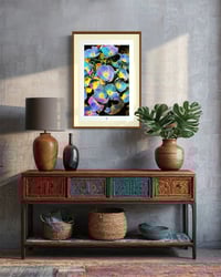 Image 4 of HYBRID HYDRANGEA (24X18)