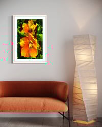 Image 2 of ORANGE HIBISCUS (36X24)