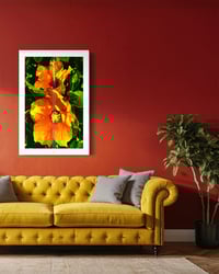 Image 3 of ORANGE HIBISCUS (36X24)
