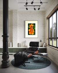 Image 4 of ORANGE HIBISCUS (36X24)