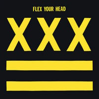 VARIOUS ARTISTS - "Flex Your Head LP