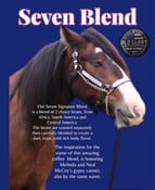 Image of Seven Blend Coffee