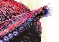 Image 2 of GICLÉE PRINTS - The Octopus Collection