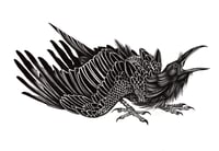 Image 1 of The Raven