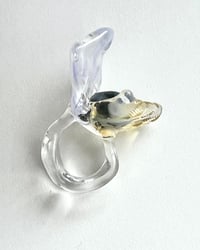 Image 3 of PERLA NOIR