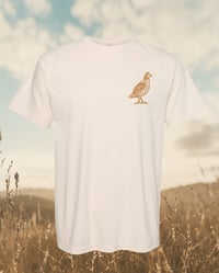 Image 2 of Jon Coxwell Heritage Tee