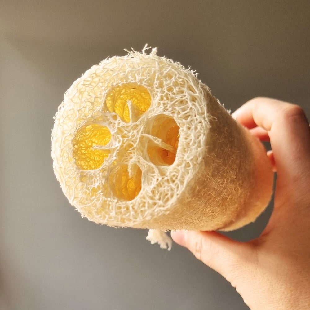 soap dishes + loofas