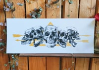 Image 1 of - Five skull -