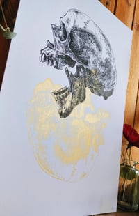 Image 2 of - Mirror Skull -