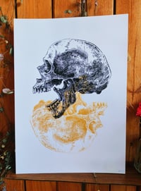 Image 1 of - Mirror Skull -