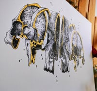 Image 2 of - Skull Slice -