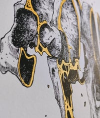 Image 3 of - Skull Slice -