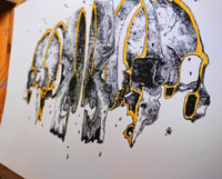 Image 4 of - Skull Slice -