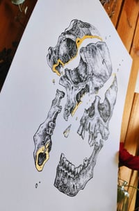 Image 2 of - Skull cut -