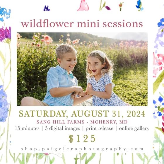 Image of Wildflower Mini Sessions