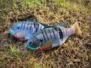 Image of 8” Presence Gill(Art series -Project 1)