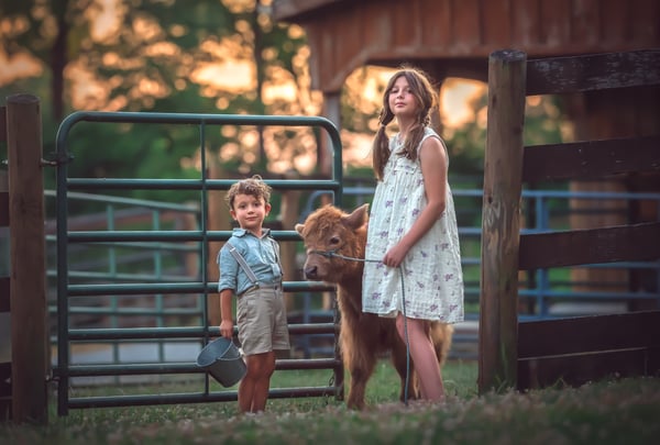 Image of On the farm Mini sessions