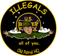 ILLEGALS ~ ALL OF YOU DECAL