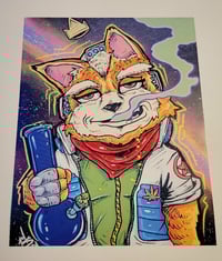 Star Fox print 11x14