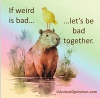 Capybara: If Weird Is Bad