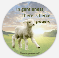 Lamb: In Gentleness There is Fierce Power