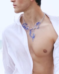 Image 1 of AQUA