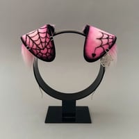 Image 1 of Pink Spider Pup