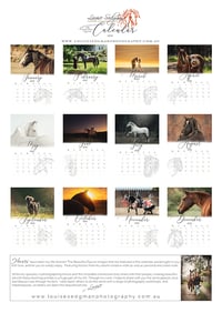 Image 3 of 2025 'The Beautiful Equine' Limited Edition Calendar