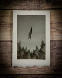 The Wretched
